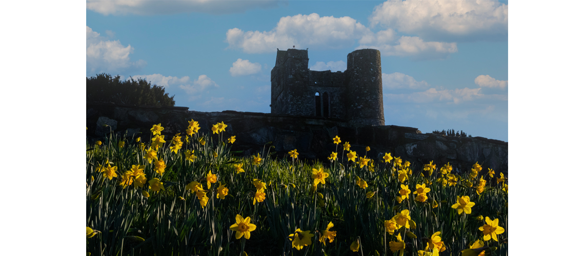 Balrothery Tower